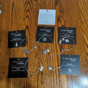 Alex and Ani silver bracelet for the zodiac lover